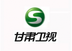甘肃卫视logo设计