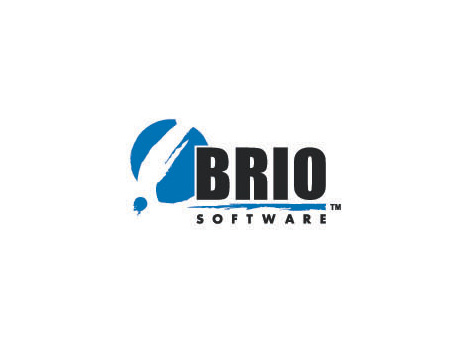 BRIO字母与蓝色图形结合的标志